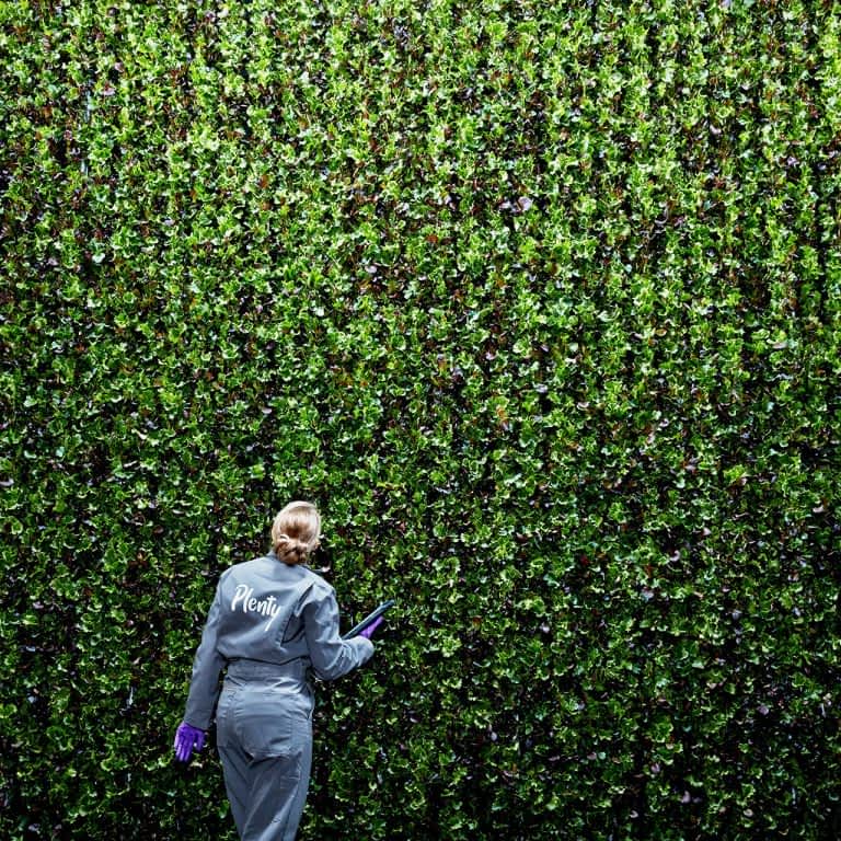 자금 조달한 플랜티, 수직농장 확대 나선다