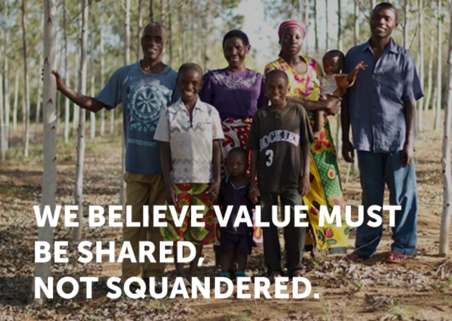 임업계의 에어비앤비를 꿈꾸는 케냐 스타트업