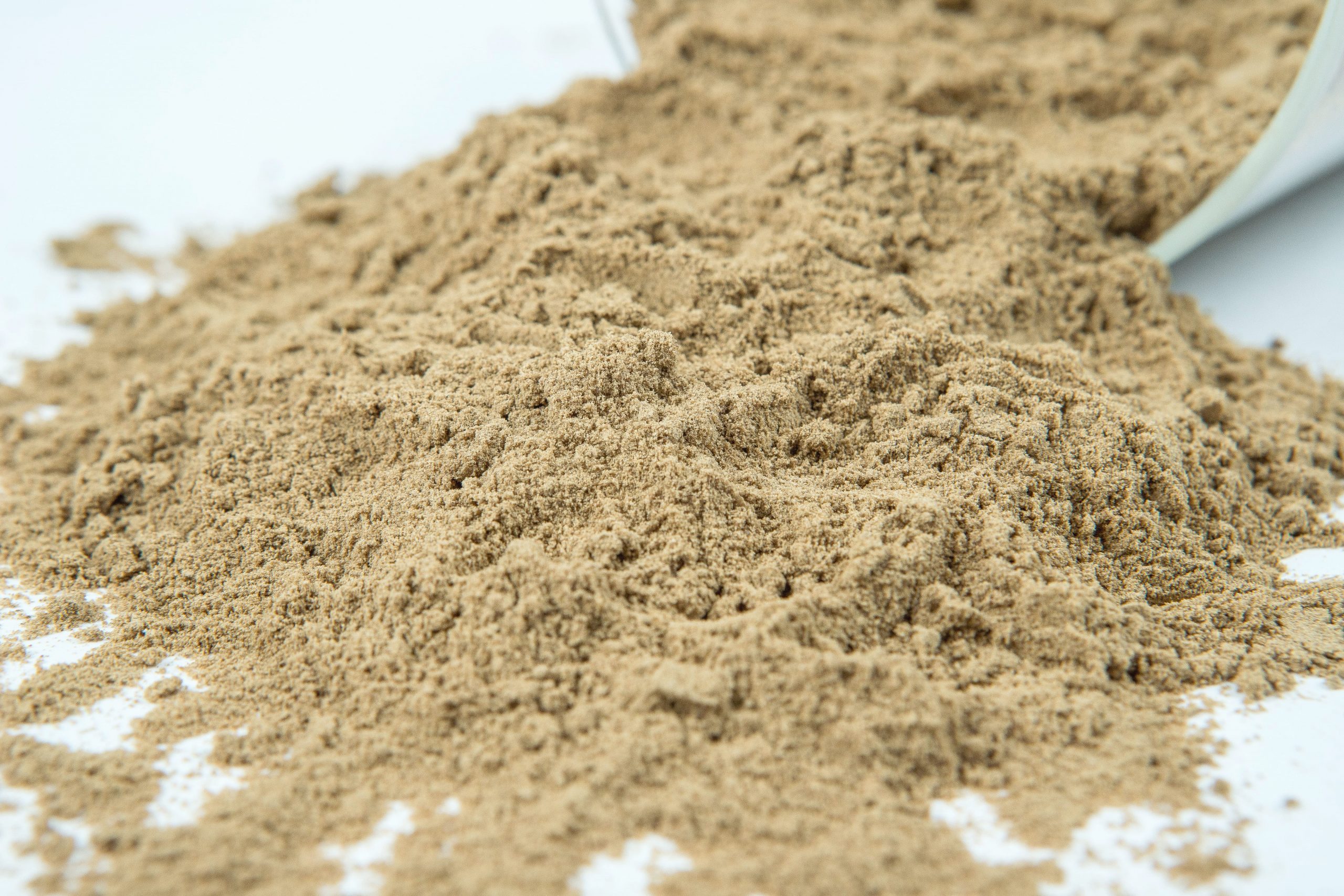 아이언맨이 투자한 곤충 스타트업