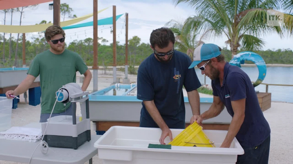 코럴비타 “기술로 전 세계 산호초 되살린다”