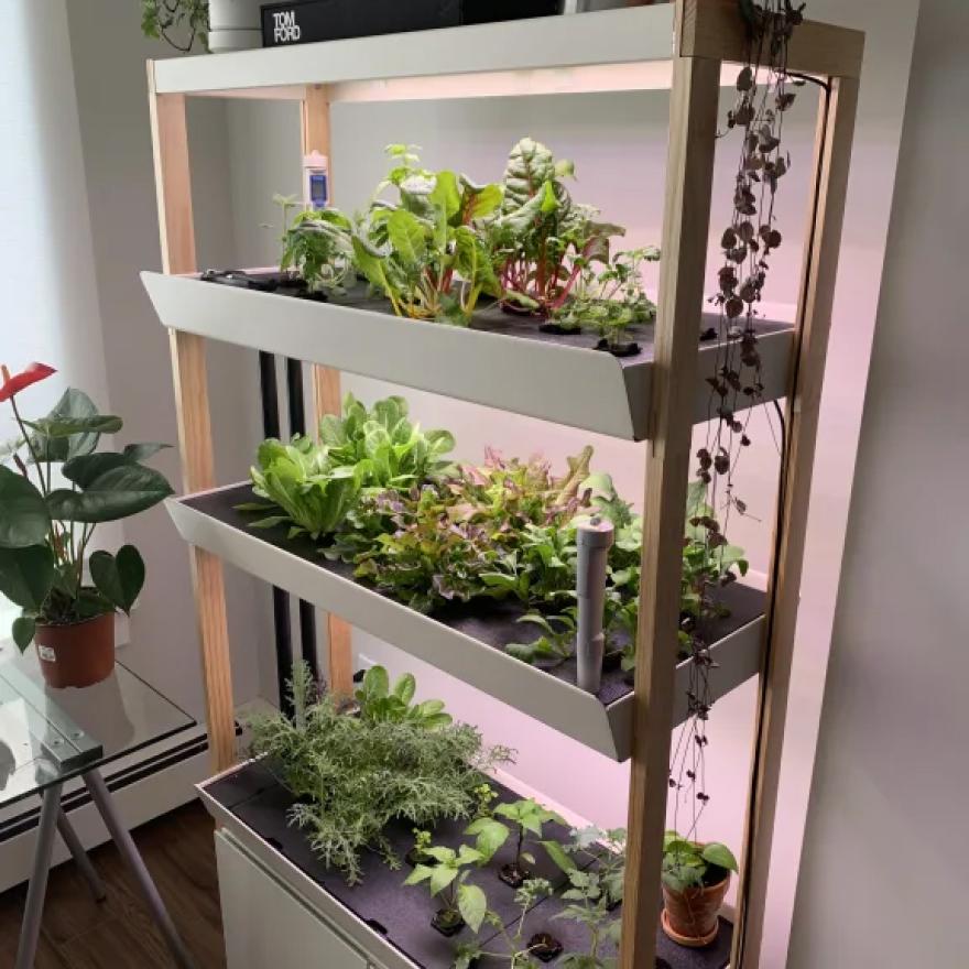 실내 수경재배 서비스 ‘라이즈가든’