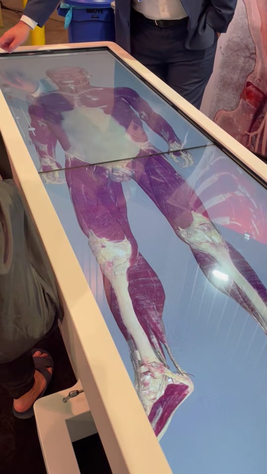 [CES 2022] 터치스크린으로 디지털 인체 해부를…