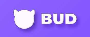 젠지 세대를 위한 메타버스 공간 ‘버드’