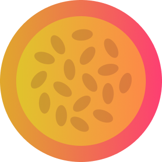 젠지 크리에이터를 위한 노코드 관리 툴