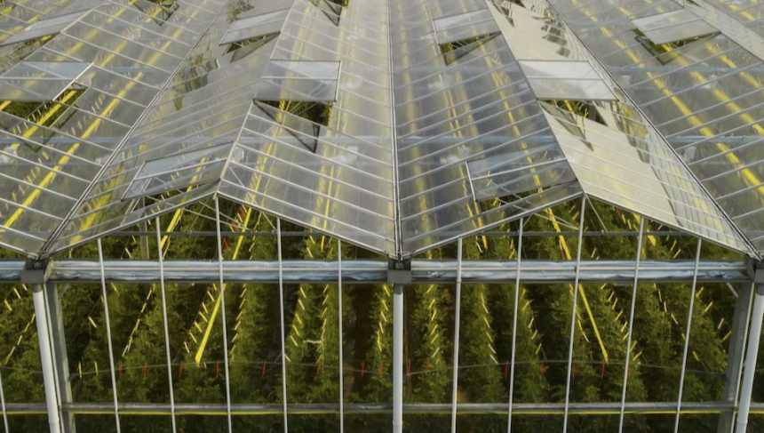 AI로 최적의 작물 재배 방법 알려준다