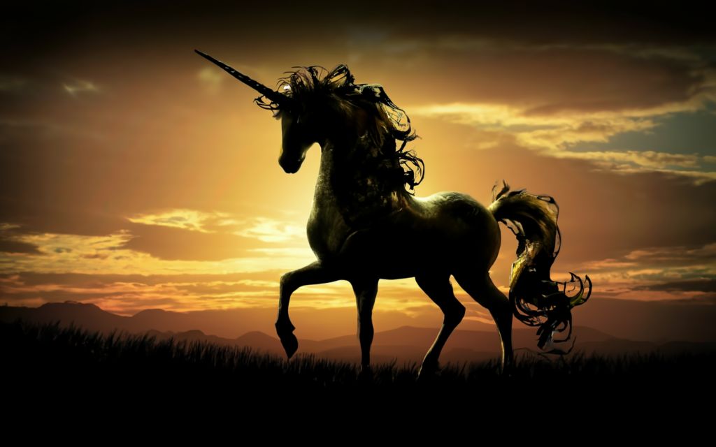 [DailyRecipe] 글로벌 유니콘 프로젝트 3월 시작한다