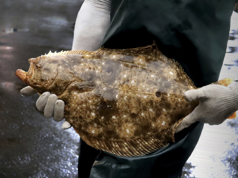 [AI서머리] 배달의민족 우아콘2024 개최‧핀다 4분기 흑자 전환 눈앞