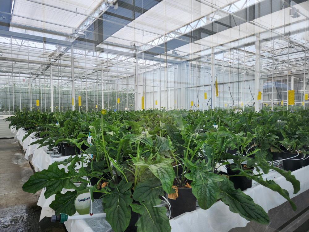 [AI서머리] 에이아이커넥트, 중기부 팁스 최종 선정‧제주 민관 창업생태계 한자리에…