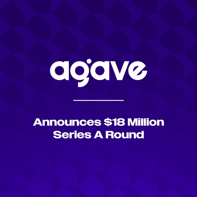 AI로 게임 디자인한다…고양이 찾는 게임 만든 터키 게임사